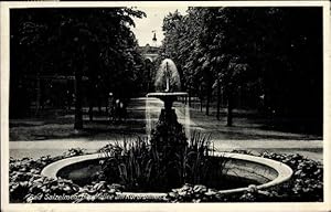 Bild des Verkufers fr Ansichtskarte / Postkarte Salzelmen Schnebeck an der Elbe, Hauptallee am Kurbrunnen zum Verkauf von akpool GmbH