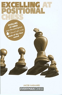 Seller image for Excelling at Positional Chess (Paperback or Softback) for sale by BargainBookStores