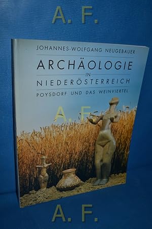 Bild des Verkufers fr Archologie in Niedersterreich. Poysdorf und das Weinviertel. Mit Beitr. von Friedrich Parisch und Spyridon Verginis zum Verkauf von Antiquarische Fundgrube e.U.