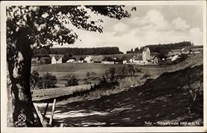 Bild des Verkufers fr Ansichtskarte / Postkarte Saig im Schwarzwald, Ortsansicht von der Seite, Straenpartie zum Verkauf von akpool GmbH