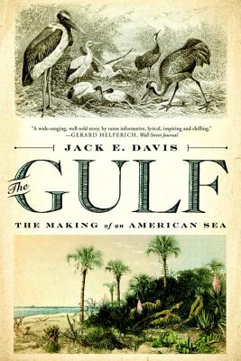 Seller image for The Gulf: The Making of an American Sea (Paperback or Softback) for sale by BargainBookStores