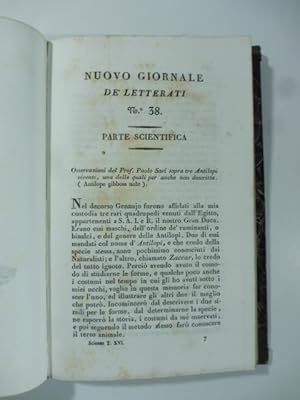 Bild des Verkufers fr Osservazioni del prof. Paolo Savi sopra tre antilopi viventi una delle quali per anche non descritta. (Stralcio da: Nuovo giornale de' letterati. N. 38. 1828) zum Verkauf von Coenobium Libreria antiquaria