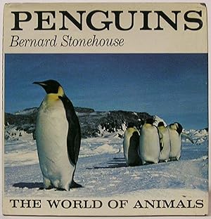 Penguins