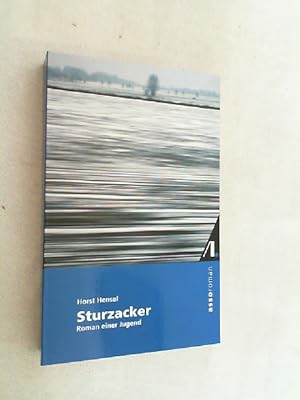 Image du vendeur pour Sturzacker : Roman einer Jugend. mis en vente par Versandantiquariat Christian Back