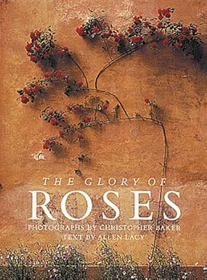 Imagen del vendedor de Glory of Roses a la venta por Antiquariat Buchhandel Daniel Viertel