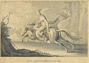 Imagen del vendedor de A nude young woman sitting on a galloping horse, drawn by Johann Elias Ridinger, engraved and published by Johann Esaias Nilson. a la venta por Ludwig Rosenthal's Antiquariaat