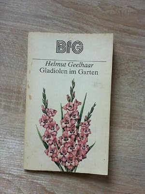 Gladiolen im Garten