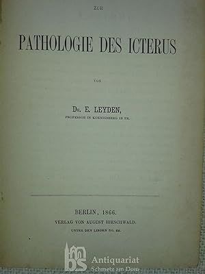 Beiträge zur Pathologie des Icterus.