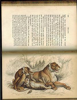 Bild des Verkufers fr The Naturalist's Library. Vol. XVI. Mammalia. Lions, Tigers & c. Original Edition. zum Verkauf von Wittenborn Art Books