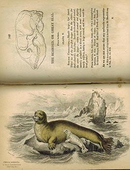 Bild des Verkufers fr The Naturalist's Library. Vol. XXV. Mammalia.Amphibious Carnivora. Original Edition. zum Verkauf von Wittenborn Art Books