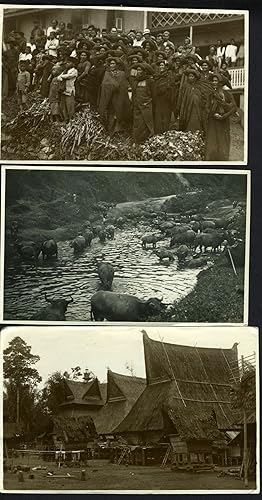 Photographic Archive, 1920s Sumatra, Indonesia