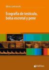 Ecografía de testículo, bolsa escrotal y pene