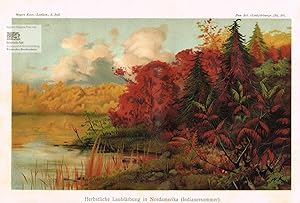 Herbstliche Laubfärbung in Nordamerika (Indianersommer). Chromolithographie von Monogrammist WK. ...