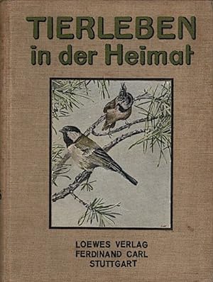 Seller image for Tierleben in der Heimat : fr die Jugend geschrieben for sale by Schrmann und Kiewning GbR