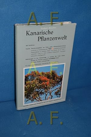 Imagen del vendedor de Kanarische Pflanzenwelt. a la venta por Antiquarische Fundgrube e.U.