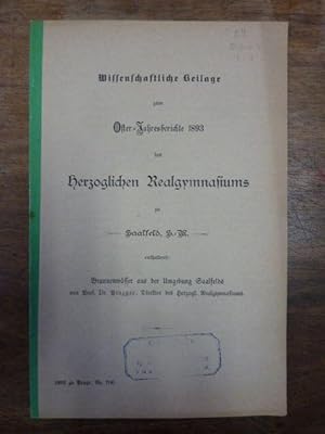 Brunnenwässer aus der Umgebung Saalfelds, Wissenschaftliche Beilage zum Oster-Jahresberichte 1893...