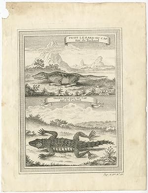 Antique Animal Print of two Lizzards by A.F. Prévost (1757)