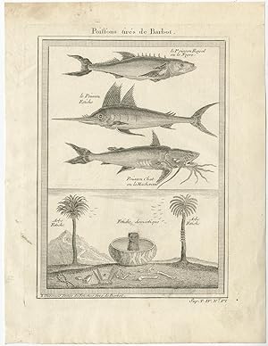 Antique Animal Print of various Fish by A.F. Prévost (1757)
