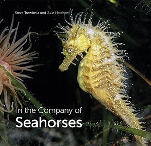 Seller image for In the Company of Seahorses for sale by GreatBookPrices
