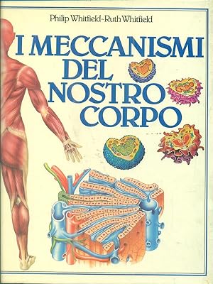 Seller image for I meccanismi del nostro corpo for sale by Librodifaccia