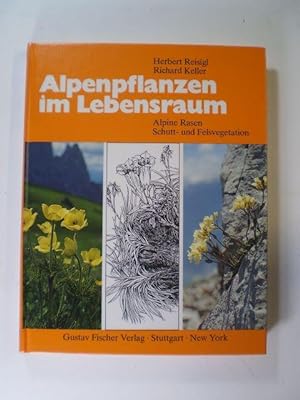 Alpenpflanzen im Lebensraum. Alpine Rasen, Schutt- und Felsvegetation