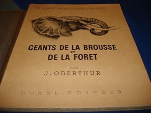 Le monde merveilleux des bêtes : Géants de la brousse et de la forêt