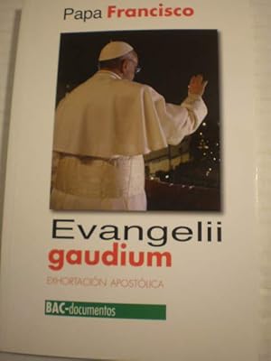 Evangelii Gaudium. Exhortación apostólica