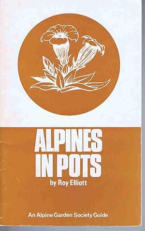 Alpines in Pots