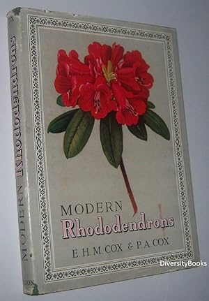 MODERN RHODODENDRONS