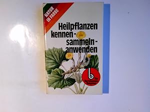 Seller image for Heilpflanzen kennen, sammeln, anwenden. Ins Dt. bertr. von Lucian Wichs / Natur in Farbe for sale by Antiquariat Buchhandel Daniel Viertel