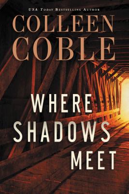 Seller image for Where Shadows Meet: A Romantic Suspense Novel (Paperback or Softback) for sale by BargainBookStores