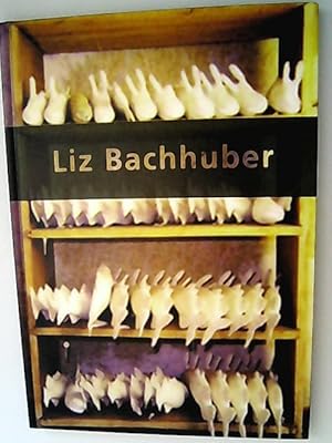 Seller image for Liz Bachhuber. Arbeiten 1992-1998. for sale by Antiquariat Bookfarm