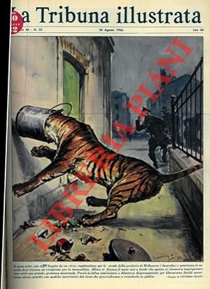 Di piena notte, una tigre fuggita da un circo, vagabondava per le strade della periferia di Melbo...