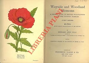 Wayside and woodland blossom. A pocket guide to British wild-flowers for the country rambler (fir...