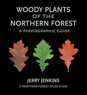 Imagen del vendedor de Woody Plants of the Northern Forest: A Photographic Guide (Paperback or Softback) a la venta por BargainBookStores