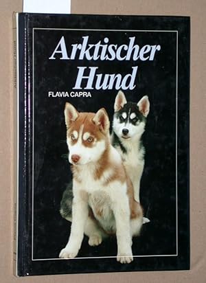 Arktischer Hund.