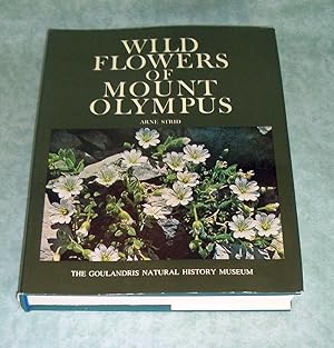 Wild flowers of Mount Olympus.