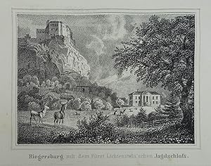 Bild des Verkufers fr Riegersburg mit dem Frst Lichtenstein'schen Jagdschloss. Lithographie aus Rudolph Gustav Puff , "Erinnerung an Gleichenberg". Graz, J. F. Kaiser 1839, 9 x 12 cm zum Verkauf von Antiquariat Johannes Mller