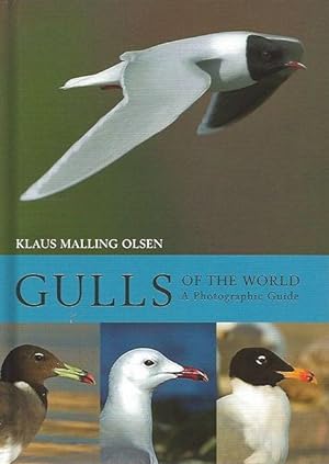 Bild des Verkufers fr Gulls of the World. A Photographic Guide. zum Verkauf von C. Arden (Bookseller) ABA