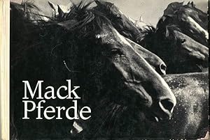 Ulrich Mack. Pferde.