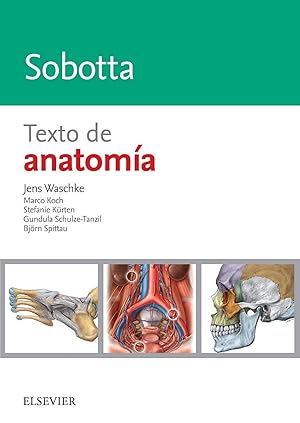 Immagine del venditore per Sobotta. texto de anatomia venduto da Imosver