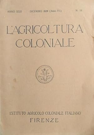 L'agricoltura coloniale.