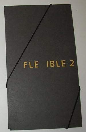 Imagen del vendedor de Flexible 2 - Pan-European Art (Nederlands Textielmuseum, Tilburg / Galeria Awangarda, Wroclaw / Whitworth Art Gallery, Manchester - 1996 - 1997) a la venta por David Bunnett Books