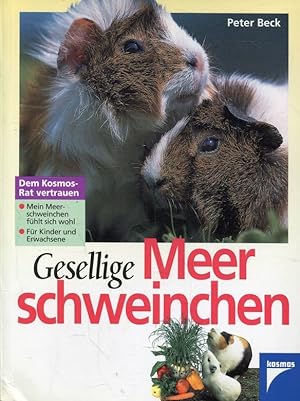 Seller image for Gesellige Meerschweinchen for sale by ANTIQUARIAT Franke BRUDDENBOOKS