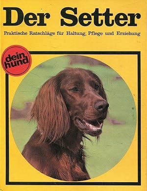 Seller image for Der Setter : Pointer und Setter (Hund) for sale by ANTIQUARIAT Franke BRUDDENBOOKS