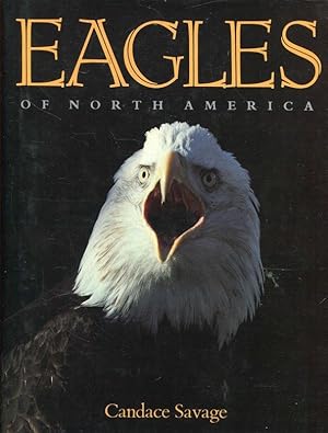 Bild des Verkufers fr Eagles of North America zum Verkauf von ANTIQUARIAT Franke BRUDDENBOOKS