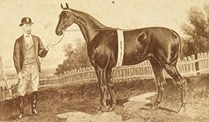 Bild des Verkufers fr [CIRCUS HISTORY] The Hairless Horse, Caoutchouc zum Verkauf von Douglas Stewart Fine Books