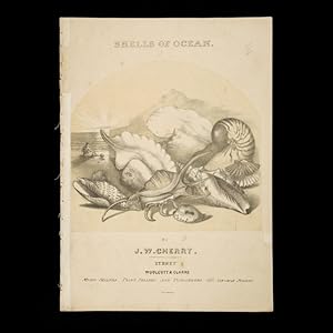 Immagine del venditore per [SHEET MUSIC] Shells of ocean /? words by J.W. Lake ; music by J.W. Cherry. venduto da Douglas Stewart Fine Books