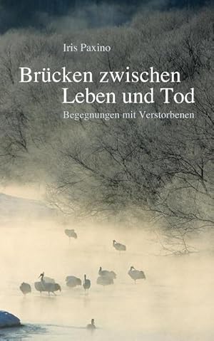 Seller image for Brcken zwischen Leben und Tod for sale by BuchWeltWeit Ludwig Meier e.K.
