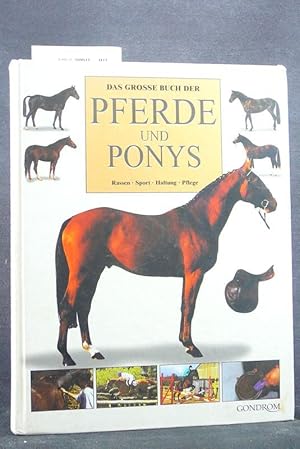 Pferde und Ponys